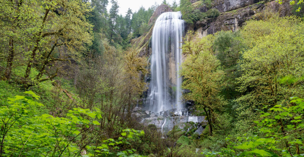 big waterfall flows in the Golden and Silver Falls State Natural Area