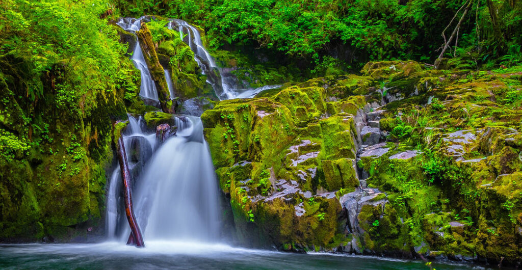 Sweet Creek Falls along the Oregon Coast