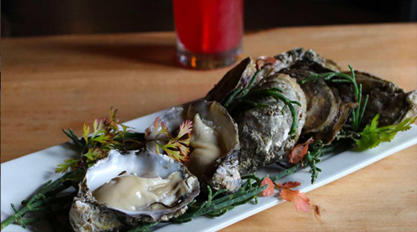 elwha blondies oysters