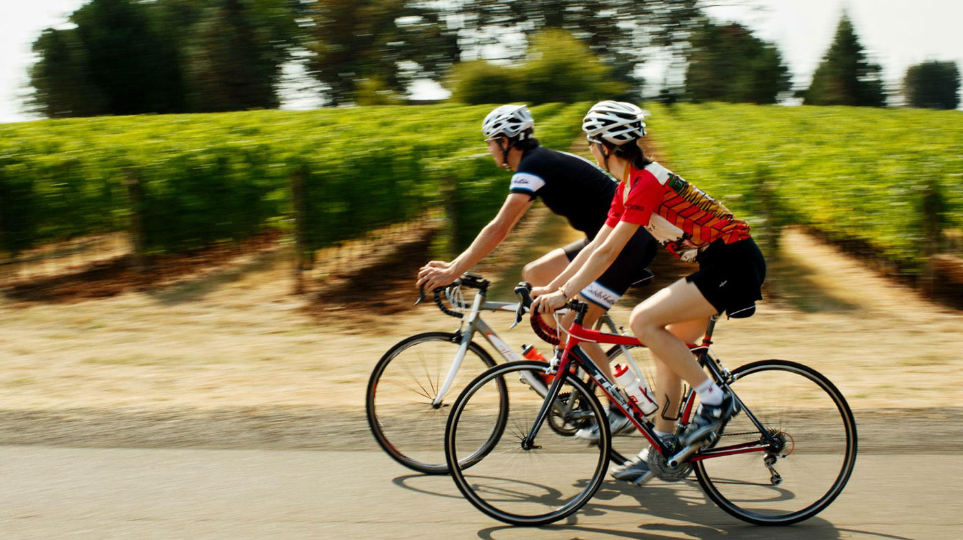 willamette valley wine country bicycle rental