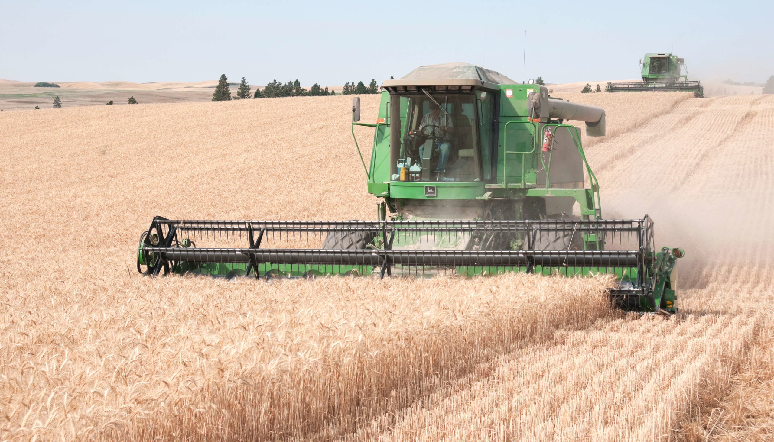 Combines harvesting wheat in the Palouse