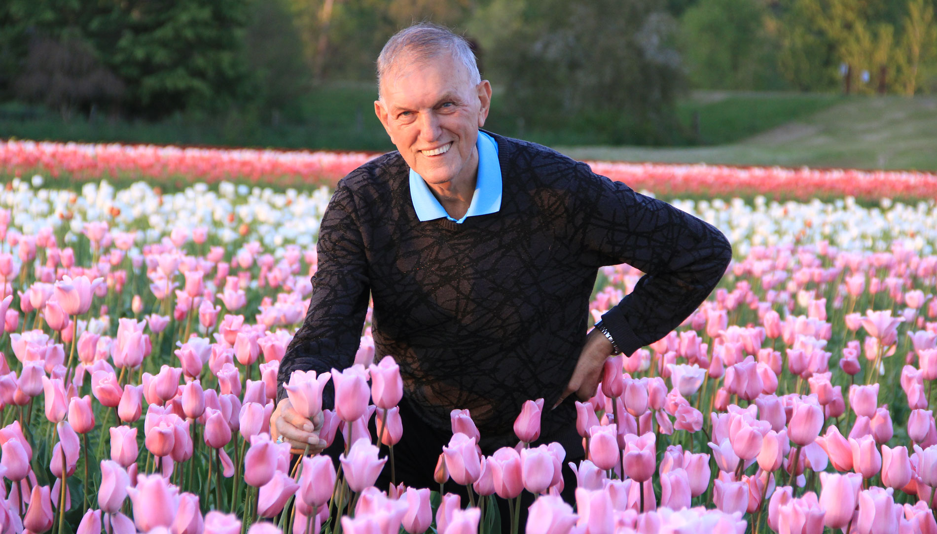 0320 Tulips Benno Dobbes Holland America Flower Gardens credit Nicolette Dobbes