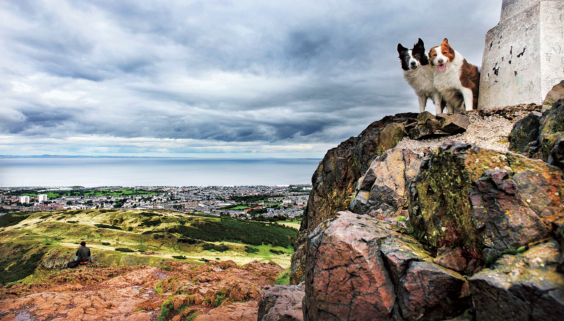 Two dogs on Arthur's Seat overlooking Edinburgh