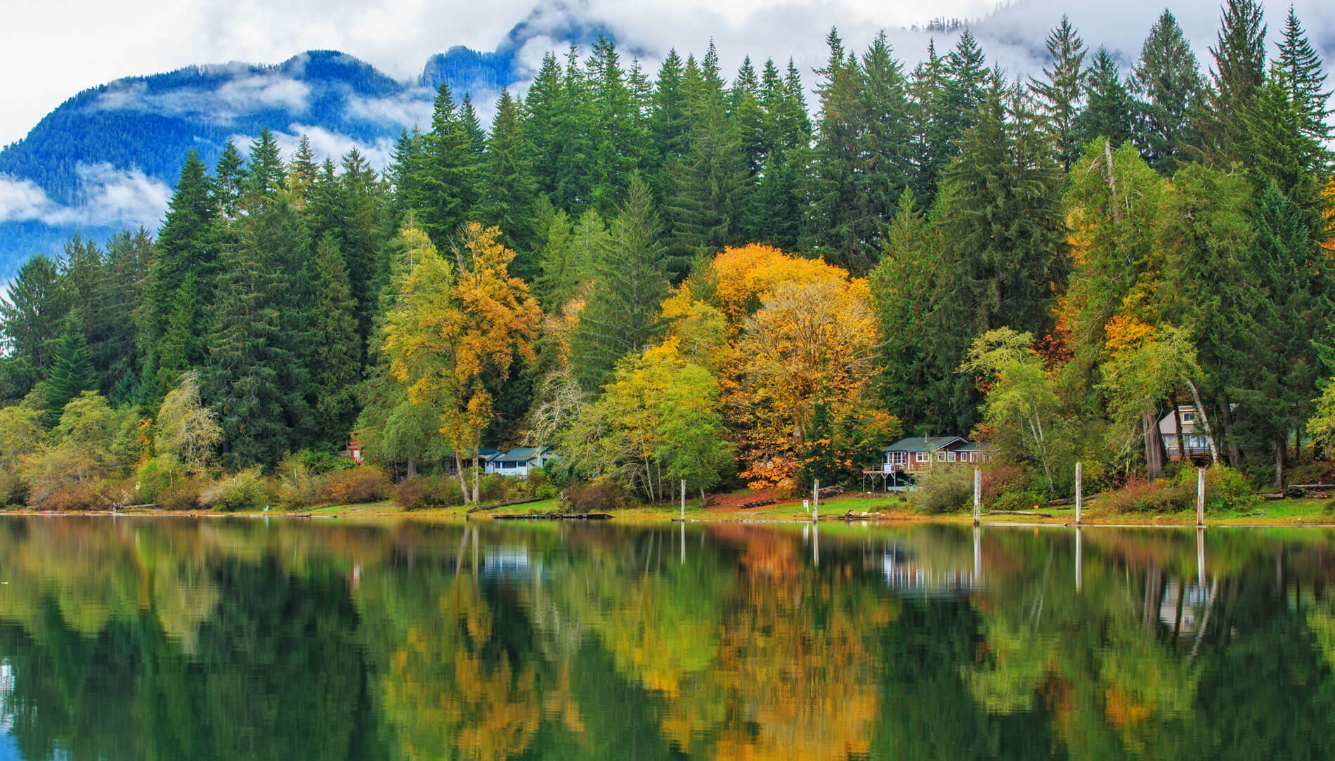 Fall colors near Lake Quinault