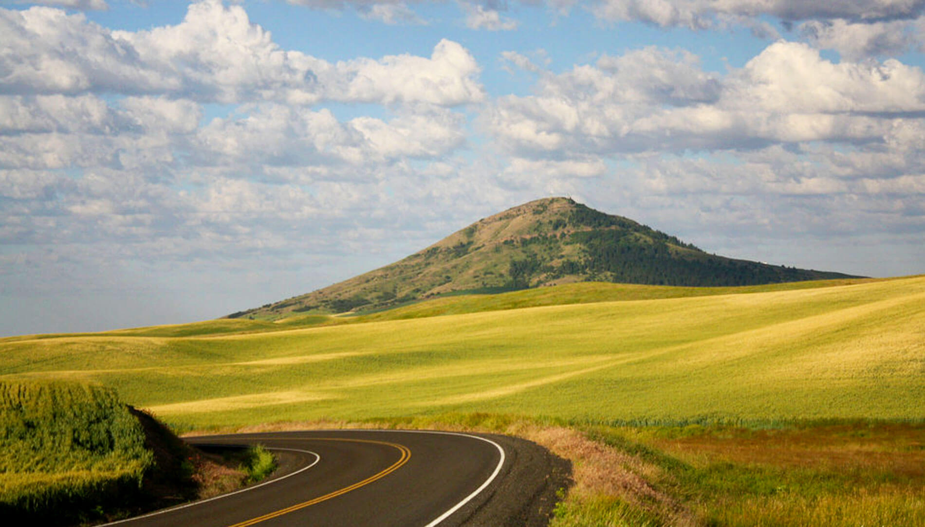 road and view of Steptoe Butte