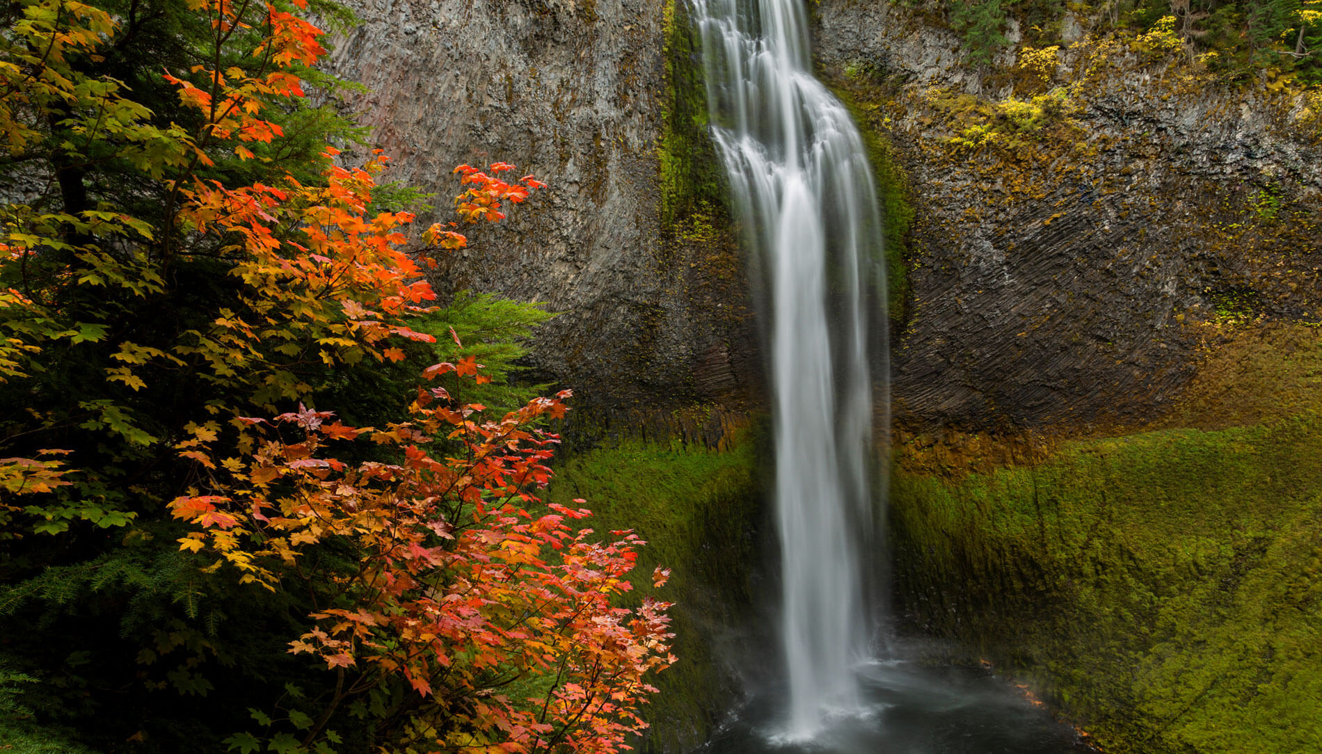 Salt Creek Falls in autumn