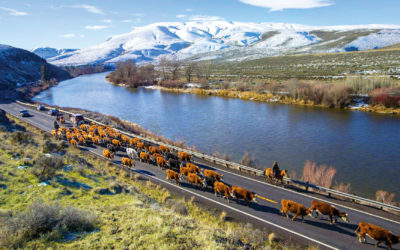 Yakima River Canyon Scenic Byway