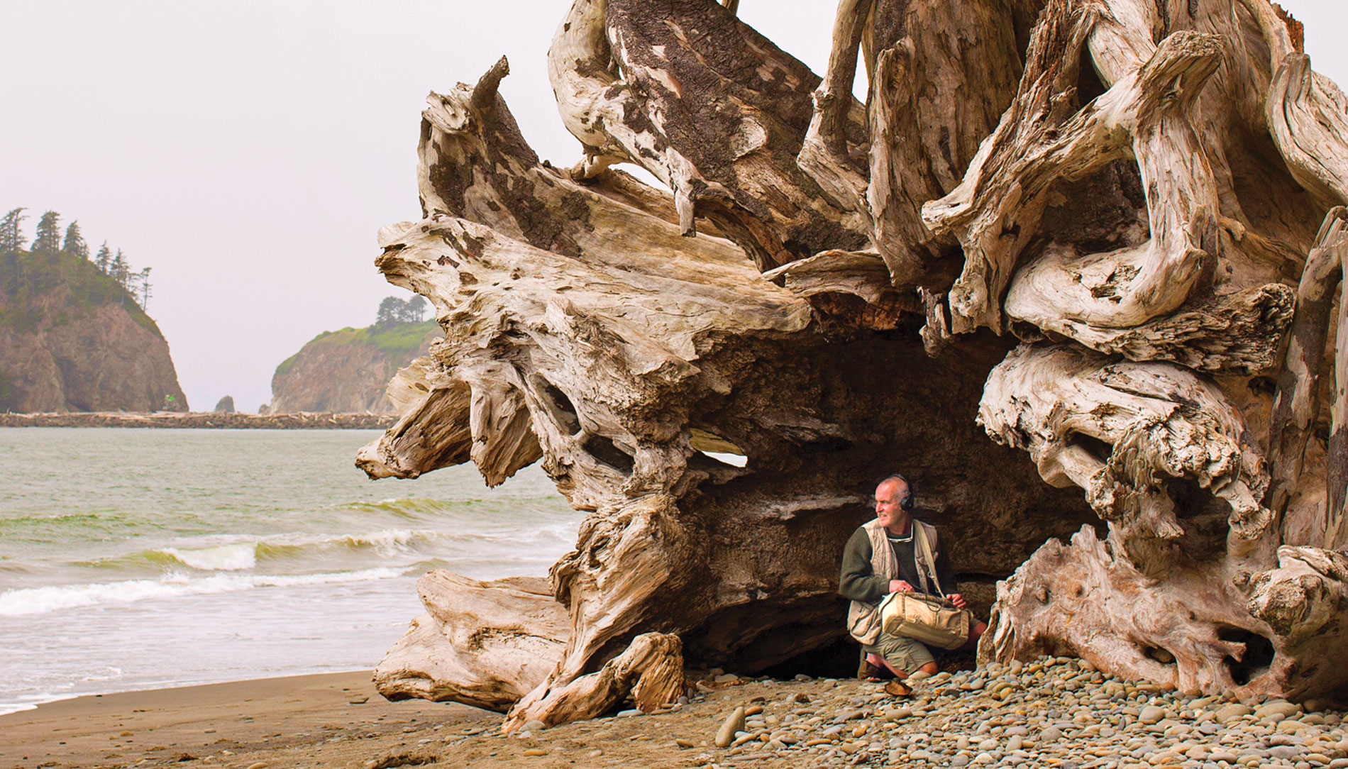 Gordon Hempton records audio inside a massive Sitka spruce driftwood log  on First Beach in La Push, Washington.