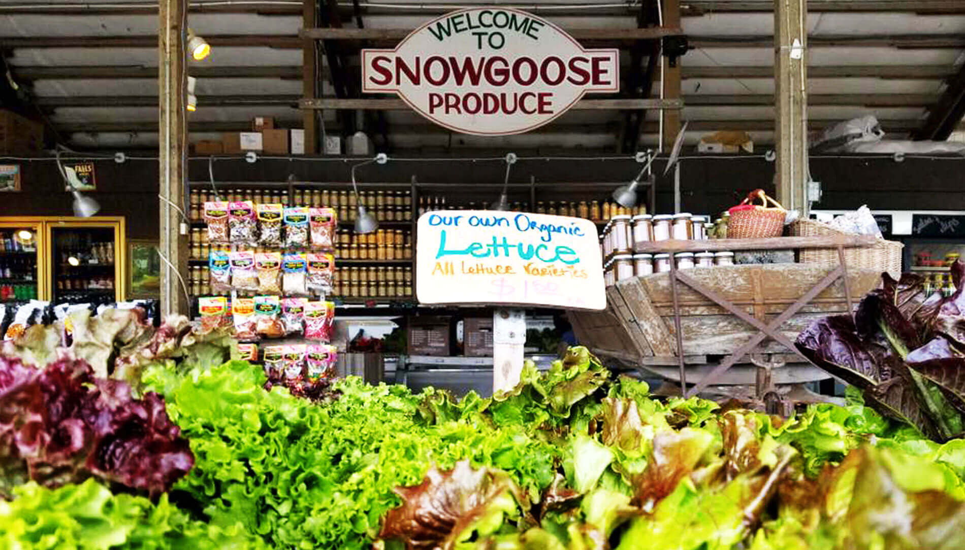 Veggies at Snow Goose Produce