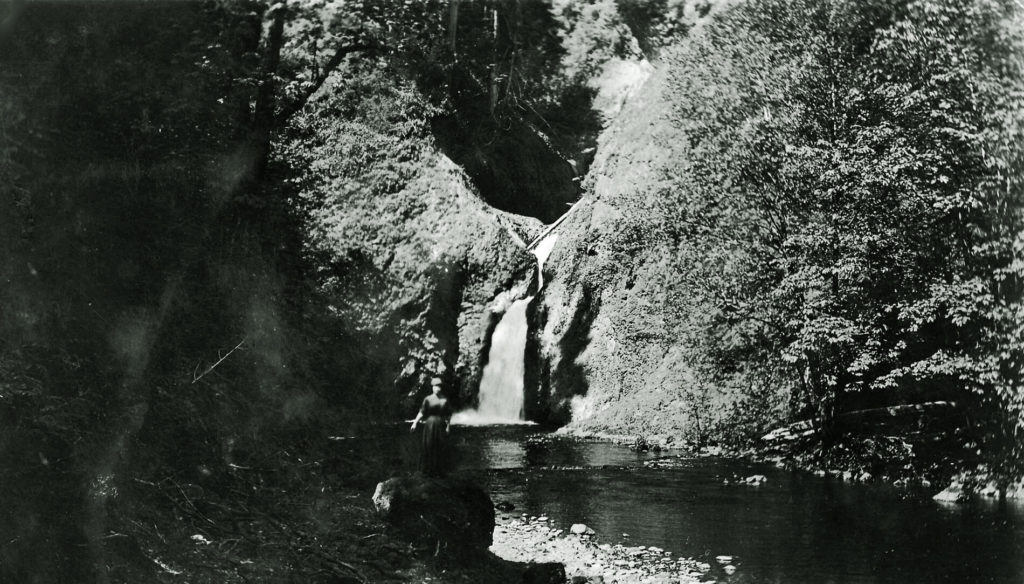 Lilliwaup Falls in black and white