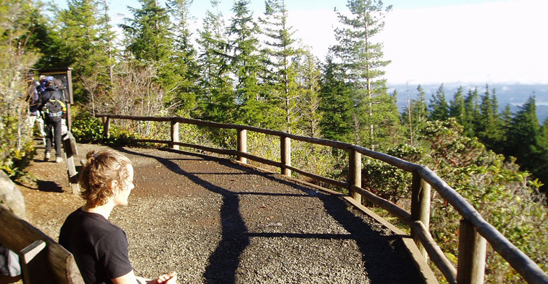 Mount Walker viewpoint
