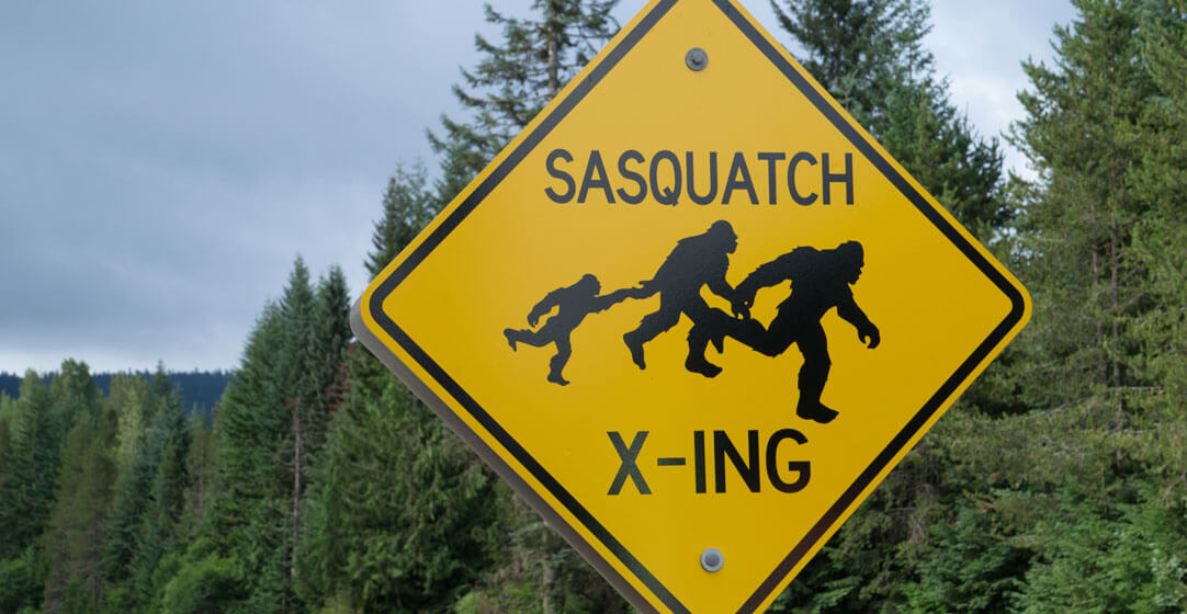 Sasquatch Crossing