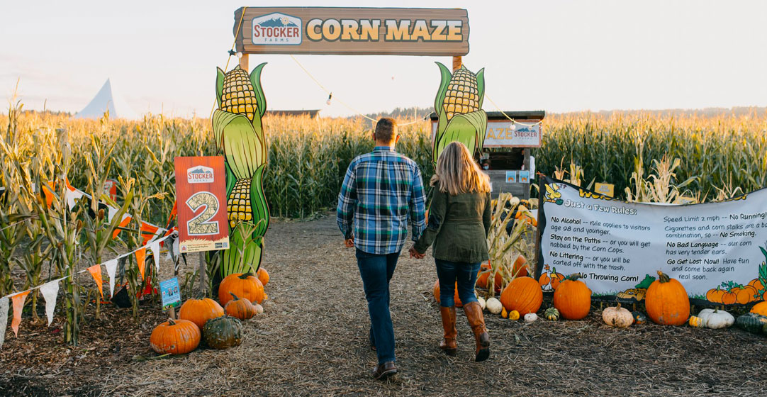 Stalker Farms corn maze