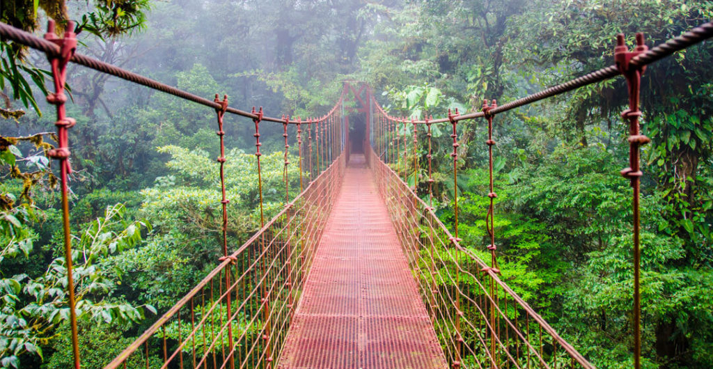 Monteverde Bridge in Costa Rica