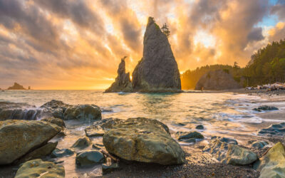5 Adventurous Vacations in Olympic National Park