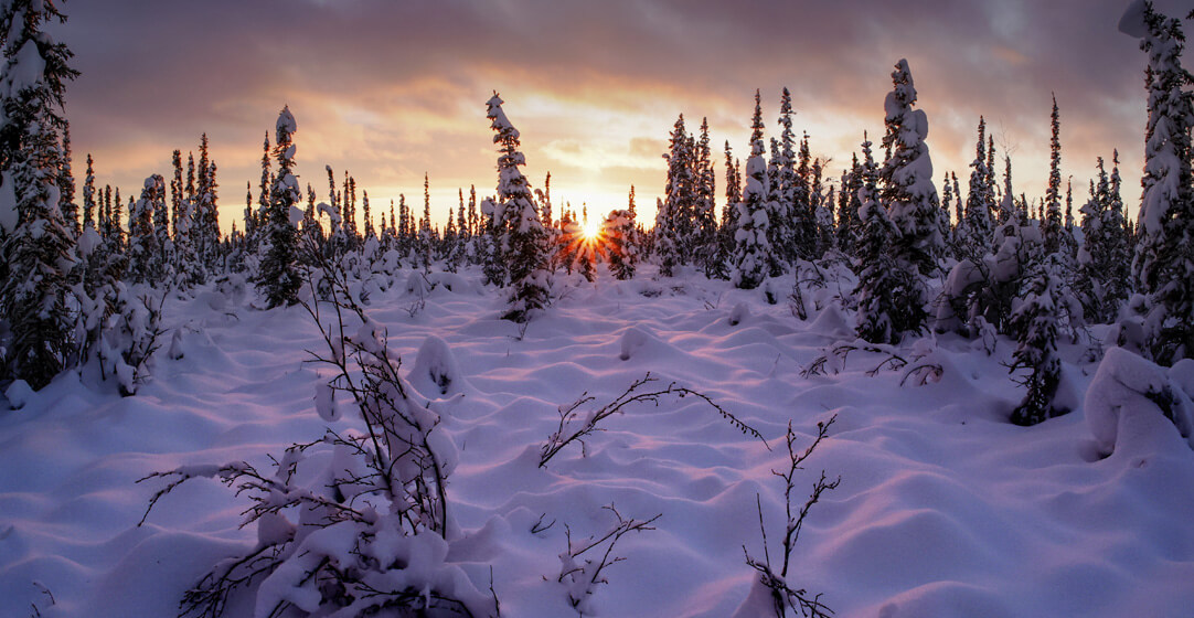 Winter Solstice Sunset Fairbanks Alaska Eric AdobeStock