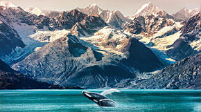 Alaskan Adventures with UnCruise