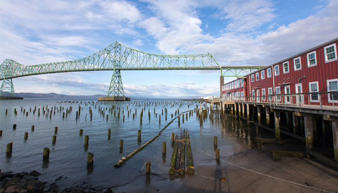 The green Astoria Megler bridge on a nice day with a few wispy clouds overhead and the spiky logs sticking up from the water from a former dock