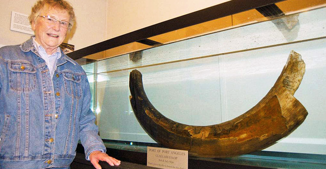 Mastodon tusk behind glass