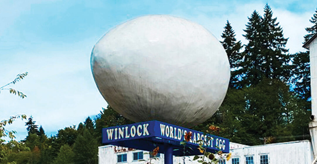 Giant egg in Winlock