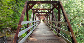 A walkway over a bridge on the Iron Goat Trail. By David Lee/flickr