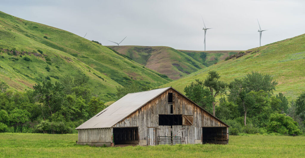 Old barn and windmills