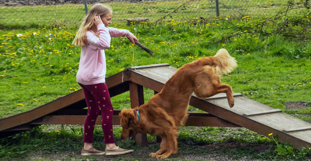 Dog with girl on a triangular shaped obstacle at a Haller Park. Haller Park agility course is one of many pet friendly stops in Washington.