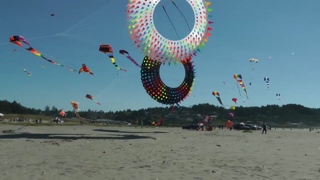 There's no better place to fly a kite than on the Washington coast at one of many state parks.