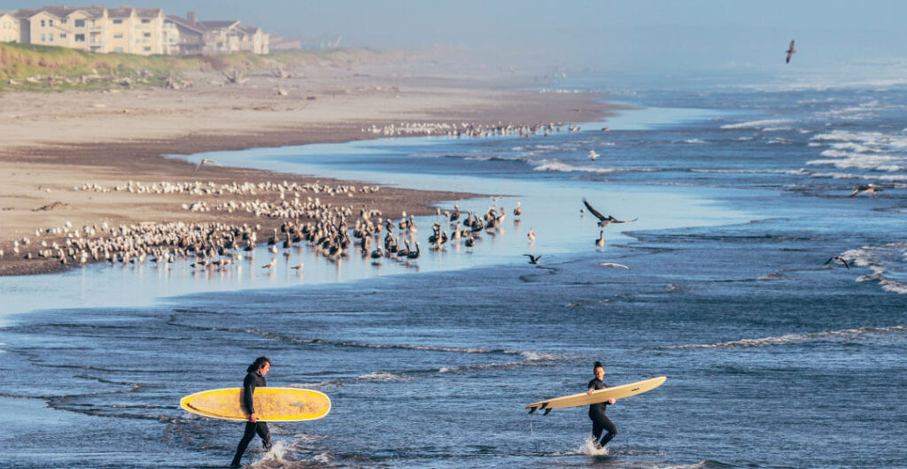 On the Washington coast, warm summer days are made for surfing and birdwatching at Westhaven beach in Westport. Photo: Lost River Photography