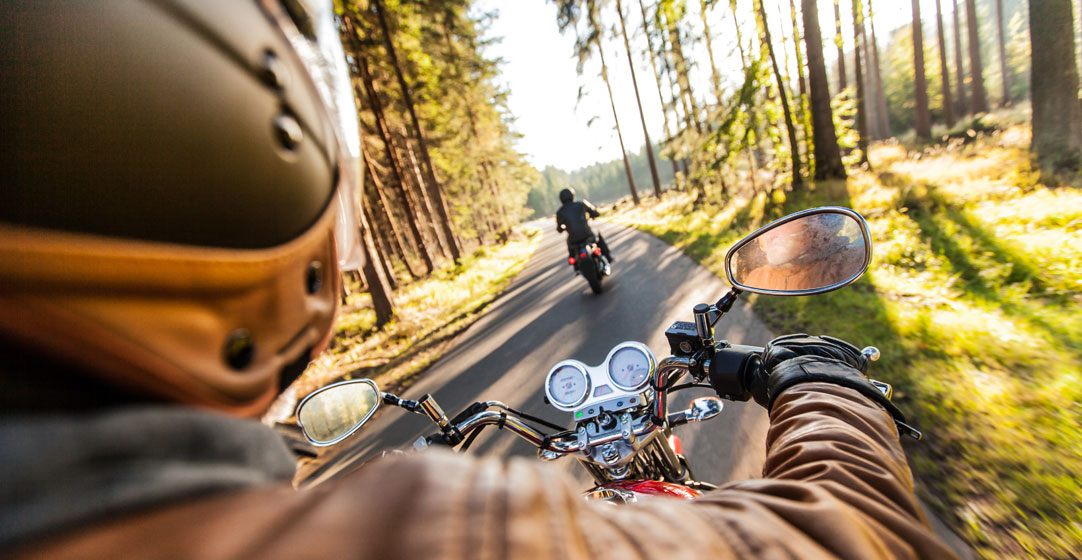 Two motorcycle riders drive through the woods.