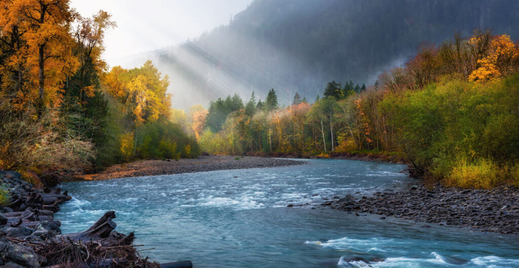Early morning light shines down on the Elwha River in the Olympic National Park, one of Washington's most beautiful wild rivers.  