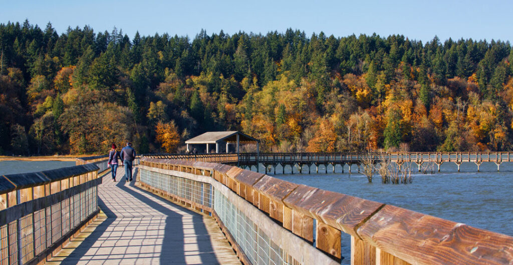 Located just outside Olympia, the Billy Frank Jr. Nisqually National Wildlife Refuge is a year-round destination for birders and bird photographers.