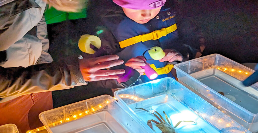 The Puget Sound Estuarium offers fun learning opportunities for all ages.