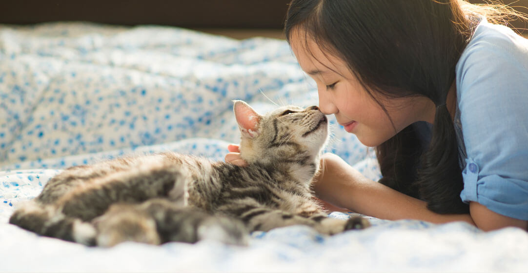 Learn about pet insurance for cats and dogs with Embrace.