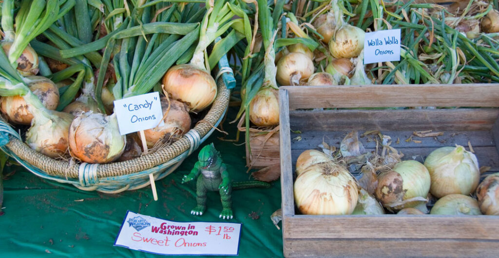 If you're searching for fun things to do in Ellensburg this weekend, include a walk through the historic downtown and the Ellensburg Farmers Market in your plans.