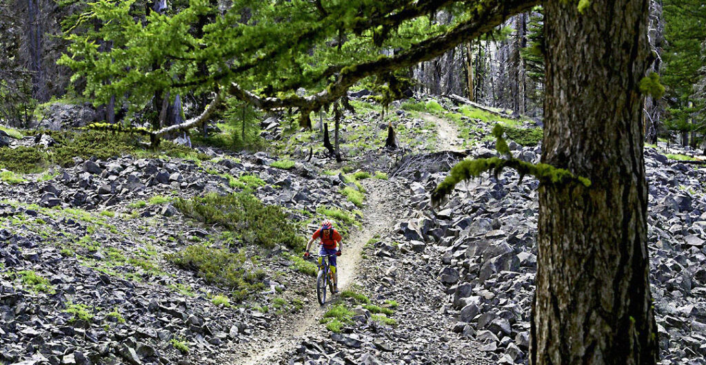 Mountain biking tops the list of fun things to do in Wenatchee and Chelan County.