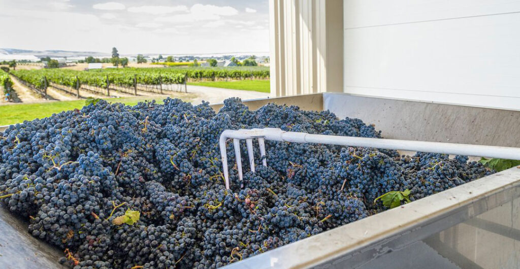 For wine lovers, a road trip to southeastern Washington is a must. Photo, Visit Walla Walla